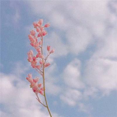 真人斗牛牛最新版